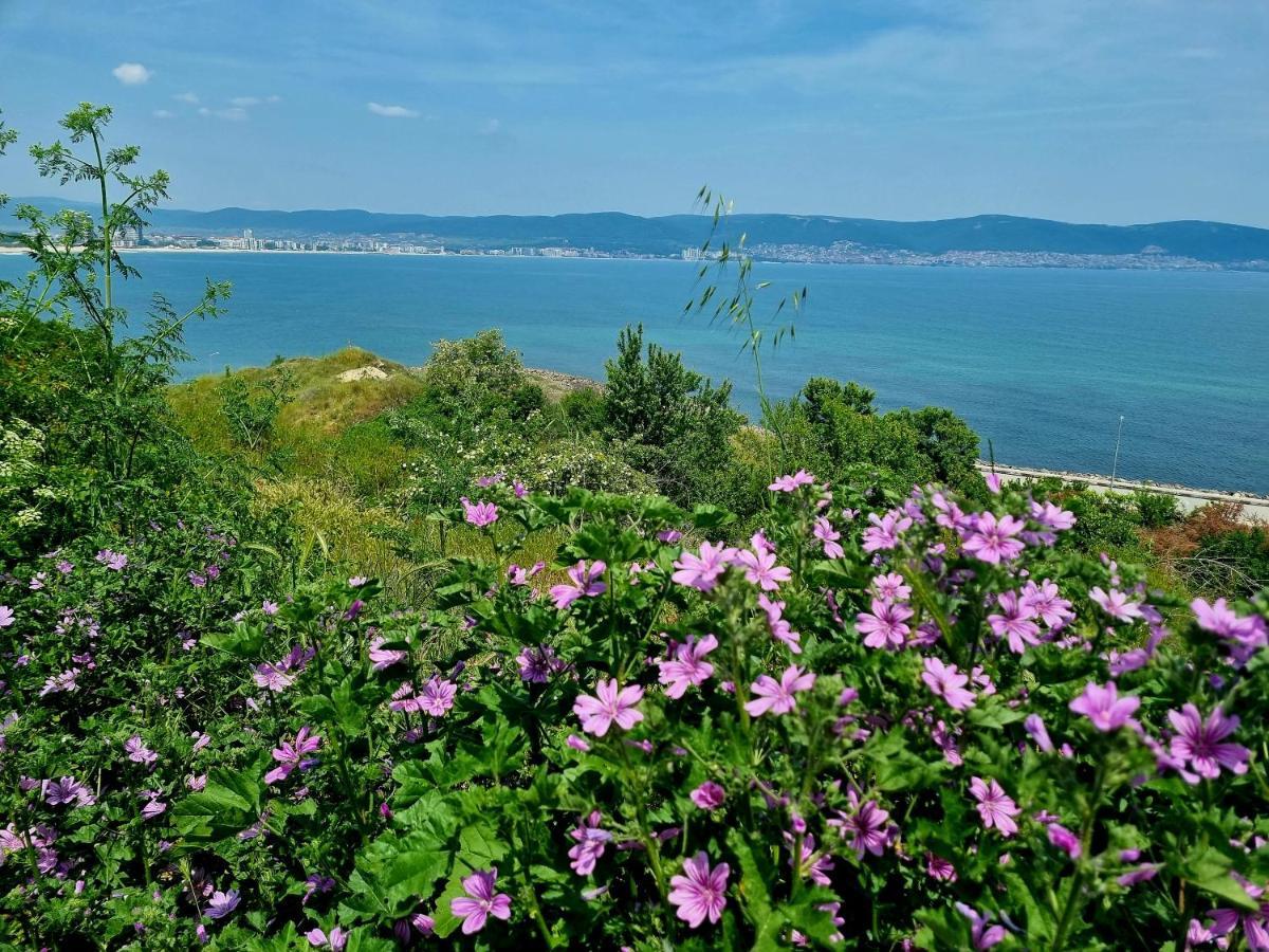 Studio Apartment With Balcony 300M From Beach Σάνι Μπιτς Εξωτερικό φωτογραφία