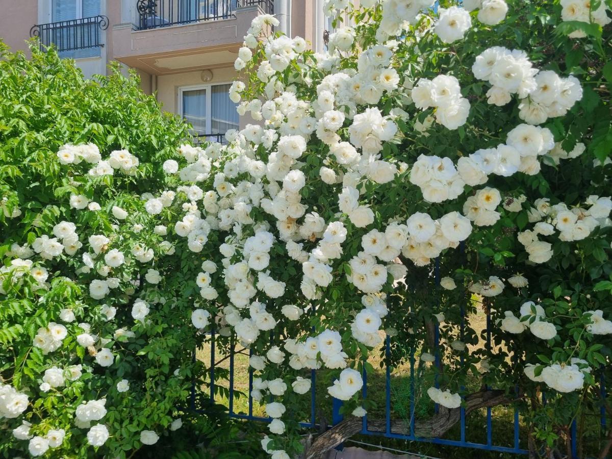Studio Apartment With Balcony 300M From Beach Σάνι Μπιτς Εξωτερικό φωτογραφία